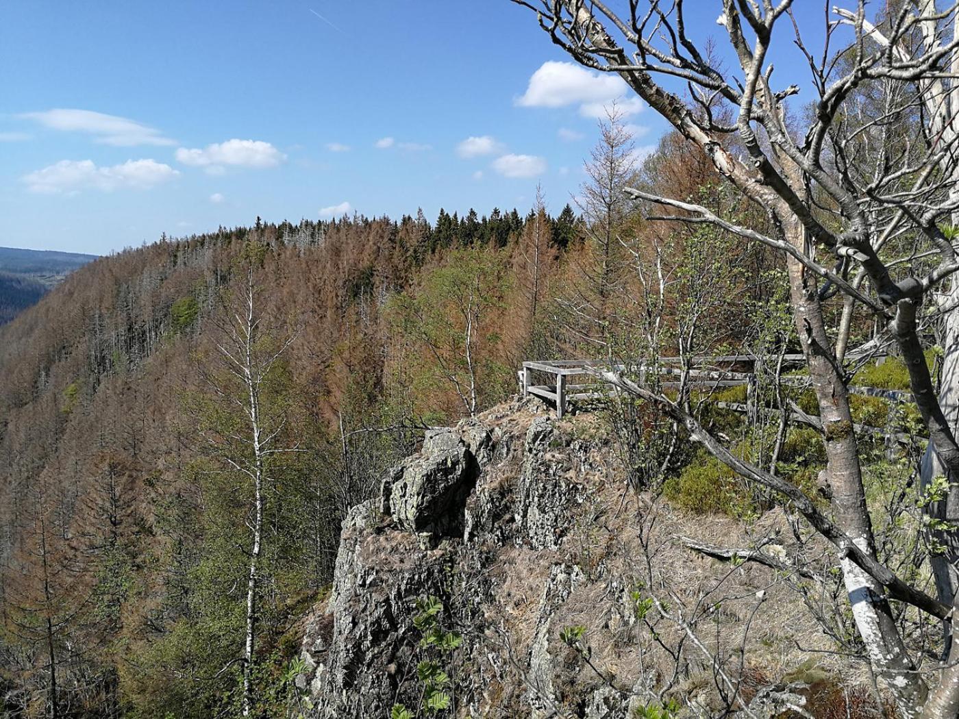 Ferienapartment Bergstation Braunlage Exterior photo